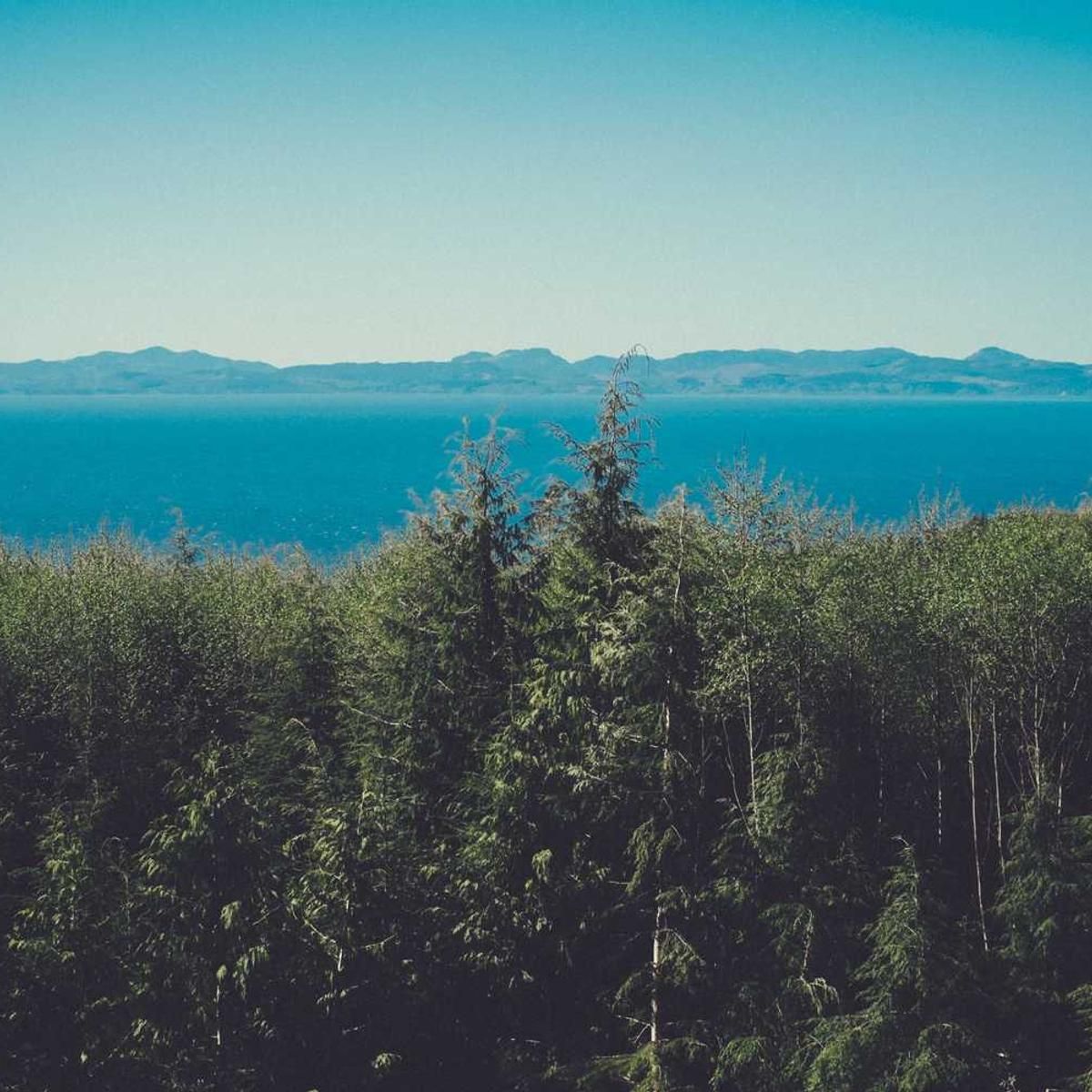 commemoro dapifer demitto