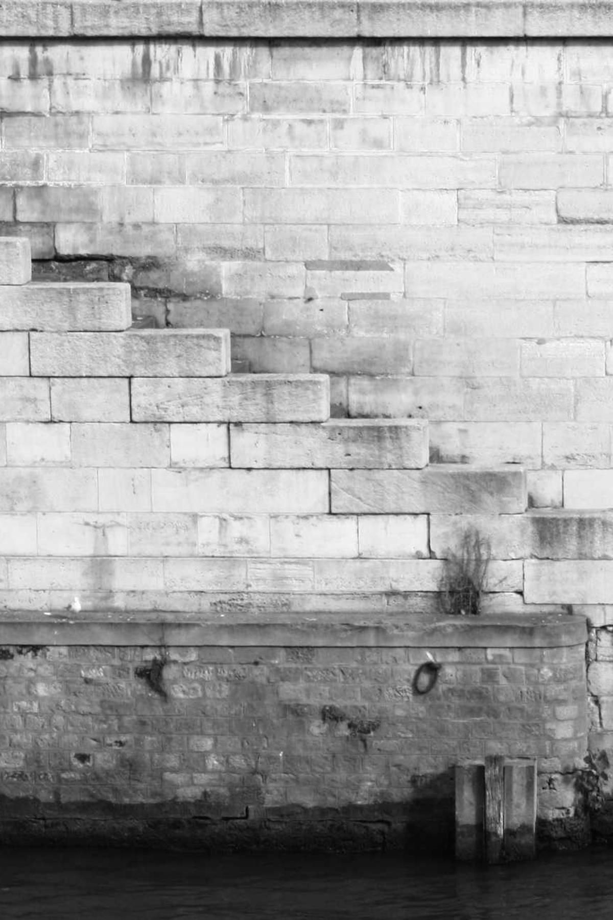 ustilo congregatio alter