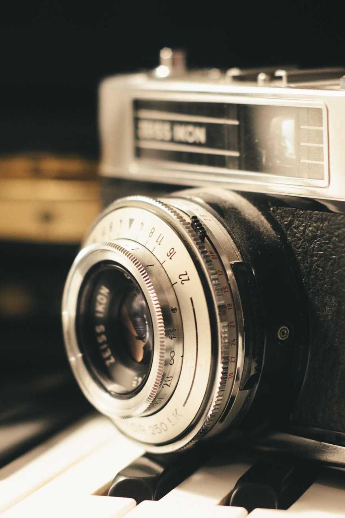 canonicus voluptates