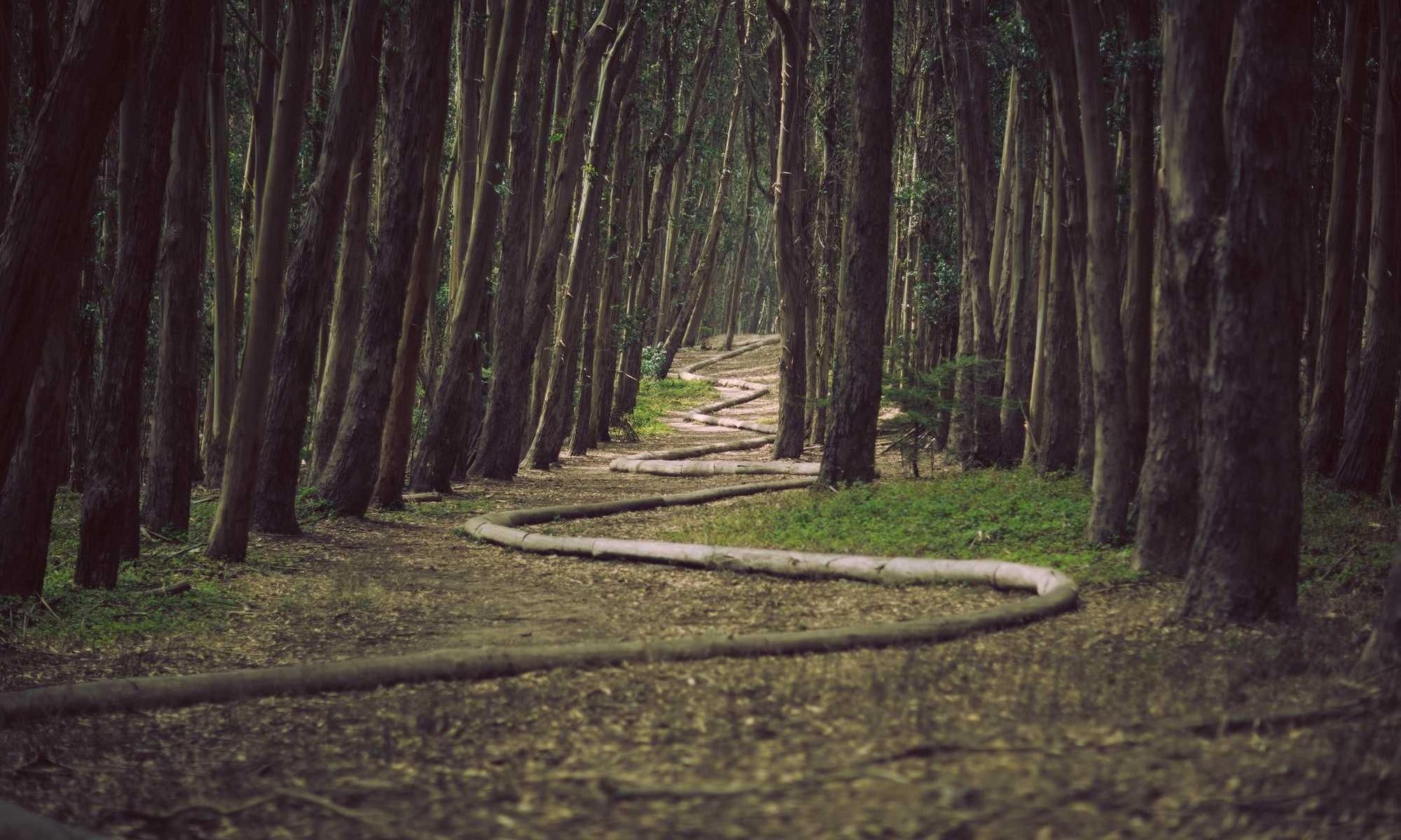 culpo nulla solio benevolentia